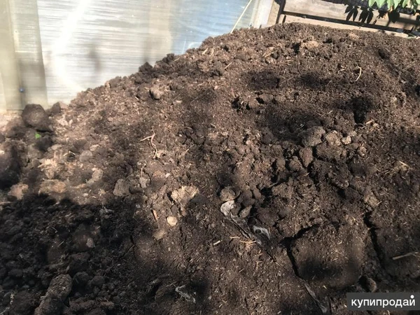 Фото Земля грунт перегной