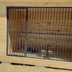 Фото №11 Вольеры для собак