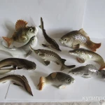 Фото №7 Рыбы фарфоровые статуэтки новые