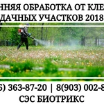 Фото №3 Обработка дачи от клещей Истра.Вызов специалиста