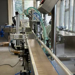 Фото №4 Аппарат для розлива в стеклянные бутылки