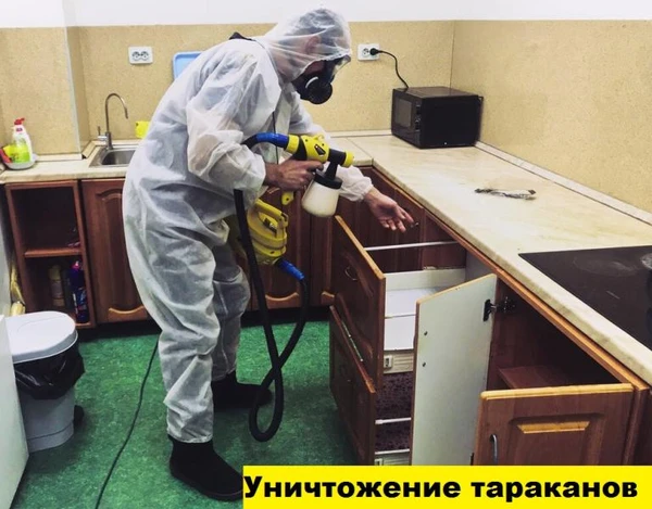 Фото Уничтожение тараканов