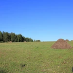 Фото №2 ⭕ЗЕМЛЯ 32,1га. ЛЕС, БОЛЬШОЙ РУЧЕЙ.