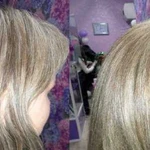 Увеличение прикорневого объема волос