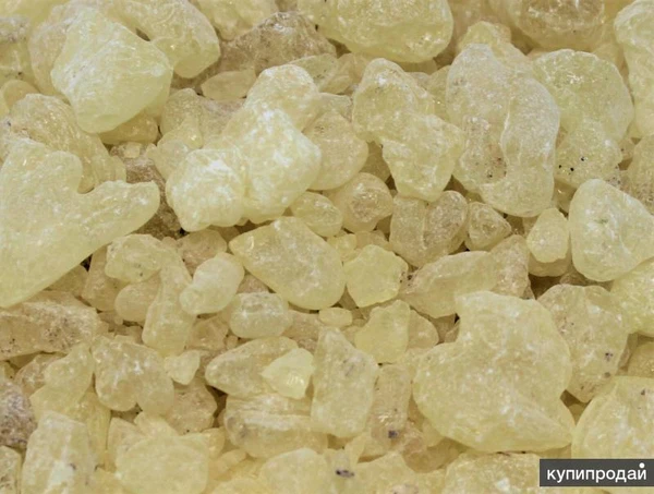 Фото Смола Даммар