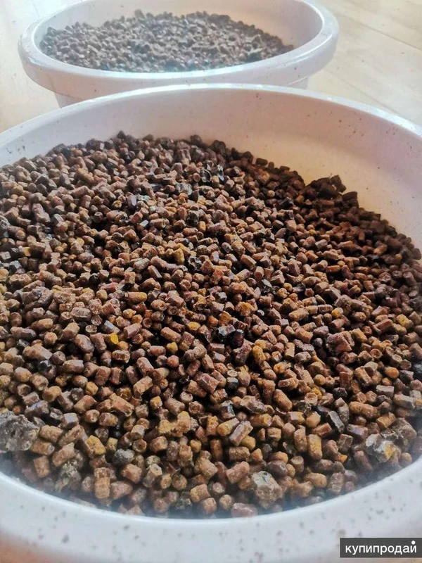 Фото Мед и перга оптом и в розницу от пчеловода