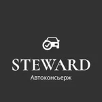 Удаленная помощь при покупке авто от Steward