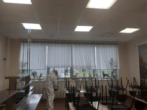 Фото Уничтожение насекомых 
