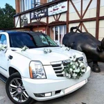 Автомобиль на свадьбу Cadillac Escalade