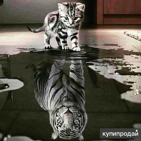 Фото Жизнь в будущем