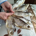 Фото №2 Вобла вяленная