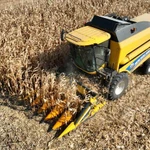 Фото №11 Жатка для уборки кукурузы HARMAK MT8 - FJB GROUP LLC