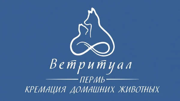 Фото Кремация животных