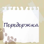 Передержка животных