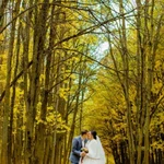 Фото №6 Услуги фотографа на свадьбу, фотосессию
