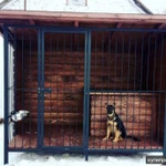 Фото №4 Вольеры для собак