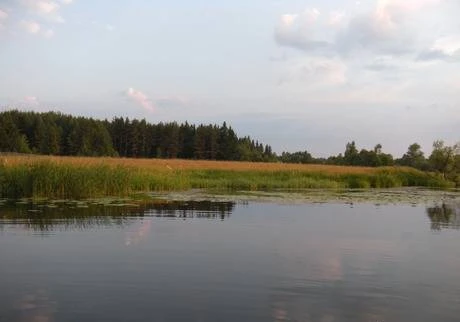 Фото Участок 27 соток, берег реки Нерль, Калязинский район