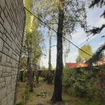 Спил и обрезка деревьев в Люберцах