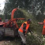 Расчистка участков от деревьев. Измельчитель веток