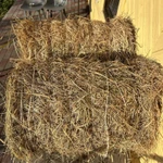 Фото №2 Сено в минирулонах по 16-18 кг