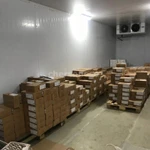 Фото №4 Сдается чистое холодильное складское помещение с предбанником.