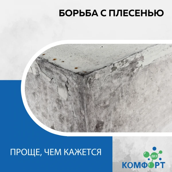 Фото Уничтожение плесени