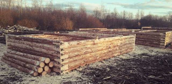 Фото Срубы домов и бань