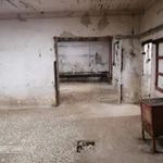 Фото №5 Сдаю в аренду производственное помещение, бокс