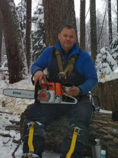 Фото Удаление деревьев