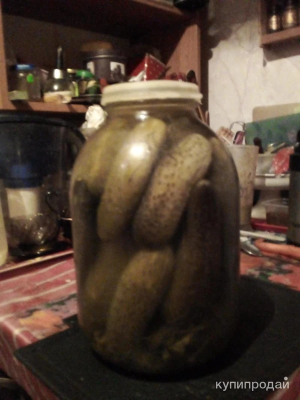 Фото Огурцы соленые