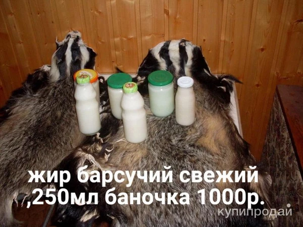 Фото Барсучий жир от охотника