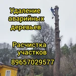 Спил опасных деревьев Обрезка плодовых Расчистка участка