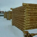 Фото №5 Срубы из зимнего леса Омская сосна