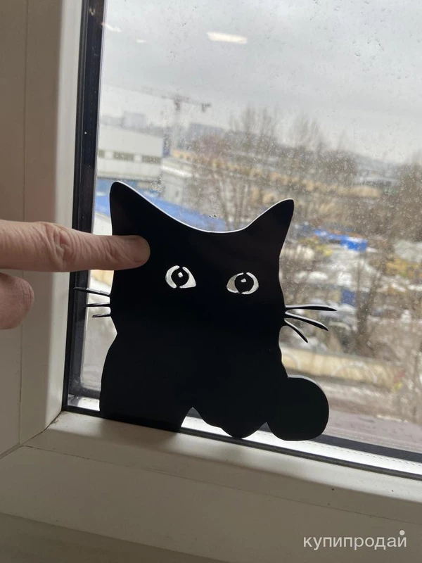 Фото Подглядывающий кот в окно