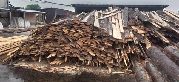 Фото Горбыль