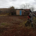 Фото №4 Дрессировка собаки на охрану частной территории 