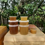 Фото №4 Мёд из Удмуртии