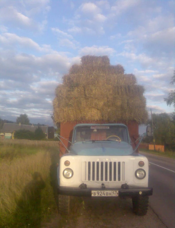 Фото Продам сено в тюках