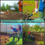 Вспашка, вскапывание и культивация земли, выравнивание участка.