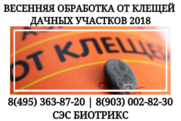 Фото Обработка дачи от клещей Истра.Вызов специалиста