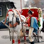 Фото №5 Фотограф с выездом на место съёмки