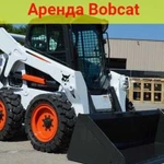 Аренда бобкэт