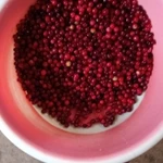 Фото №2 Клюква свежая, спелая.