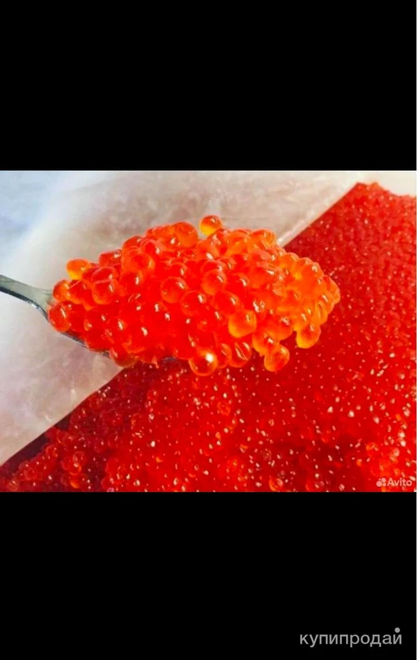 Фото Красная икра 2024