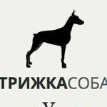 Стрижка собак и кошек в Ухте