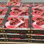 Фото №3 Продаем парагвайский персик