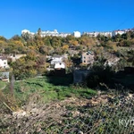 Лот 74475 В продаже участок с небольшим уклоном.