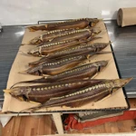 Фото №11 Стерлядь Горячего копчения.