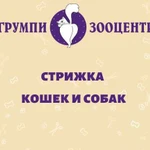 Стрижка собак И кошек