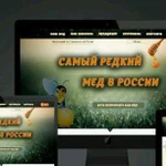 Разработка сайтов под ключ/Поддержка и Продвижение